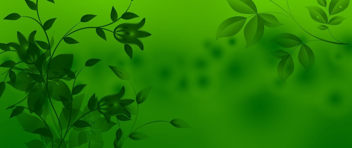 Зеленый фон с узорами