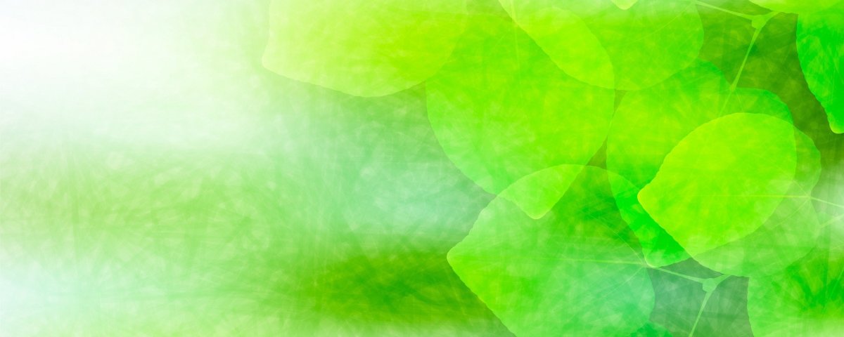 Красивый зеленый фон для обработки