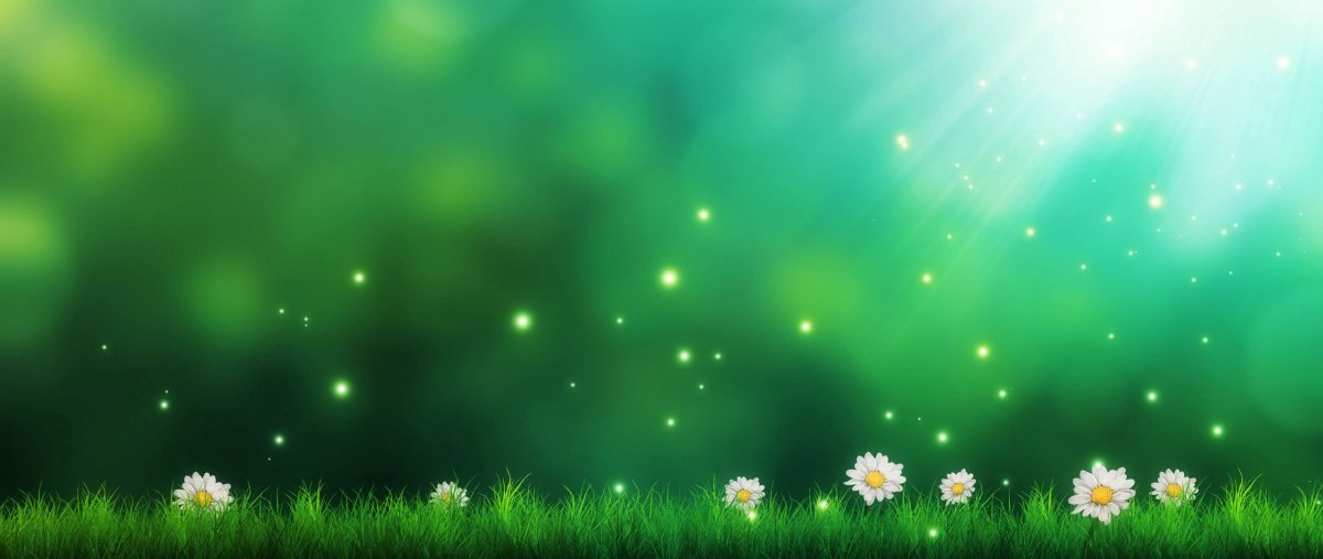 Зеленый фон