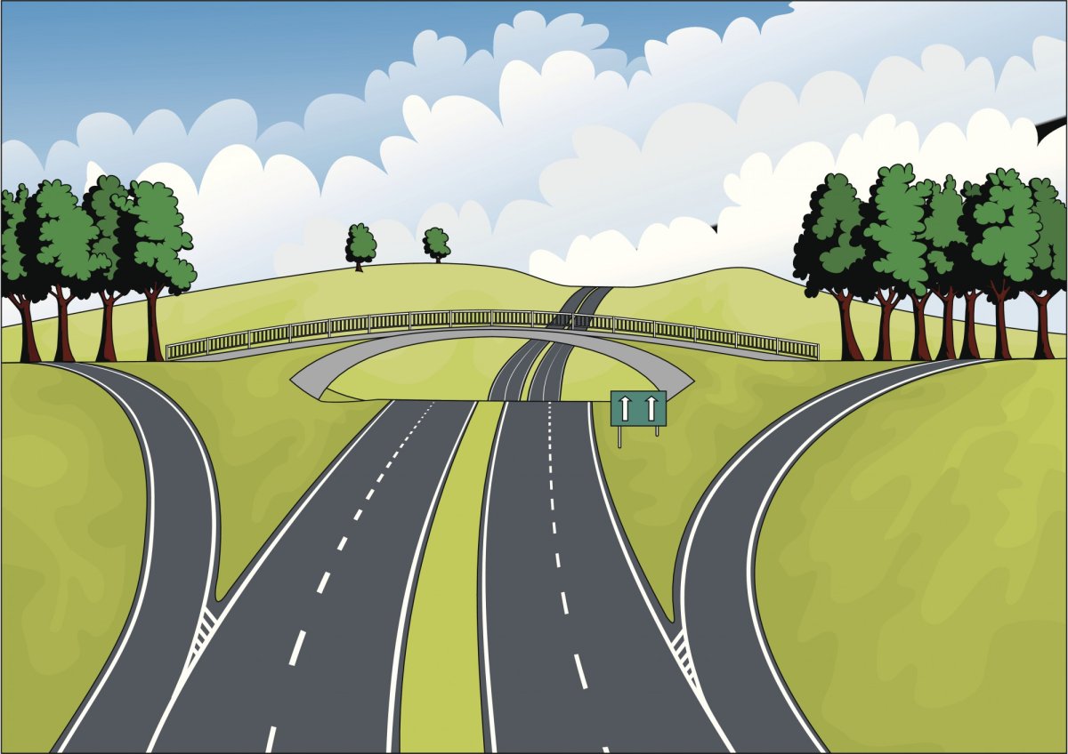 Широкое узкое дорога детям