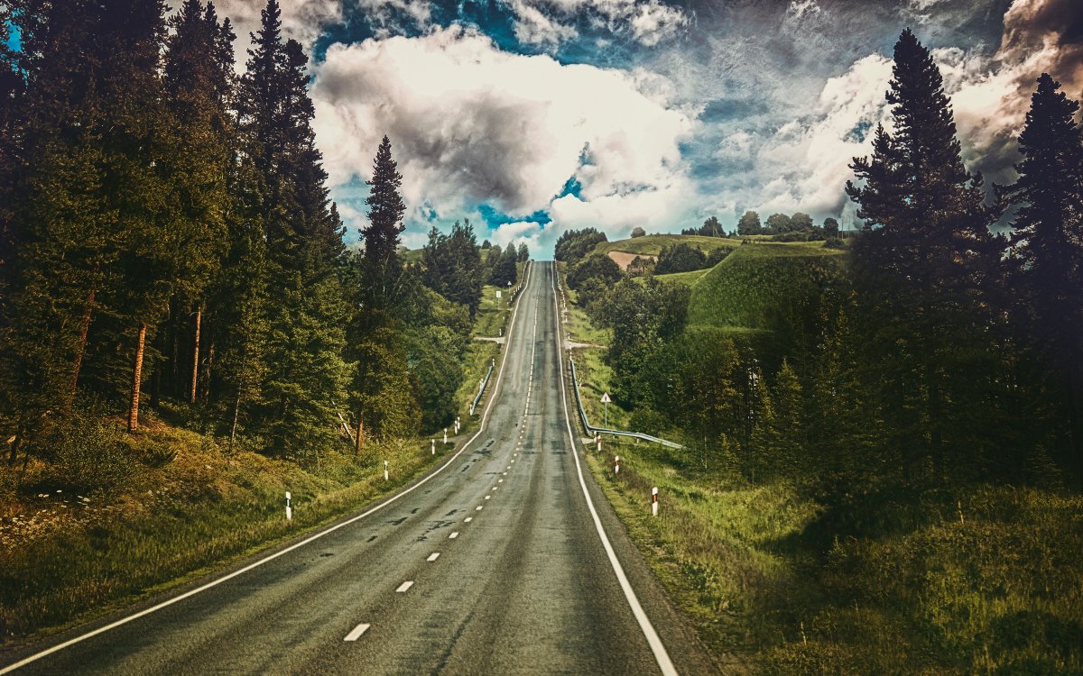 Дорога в лесу