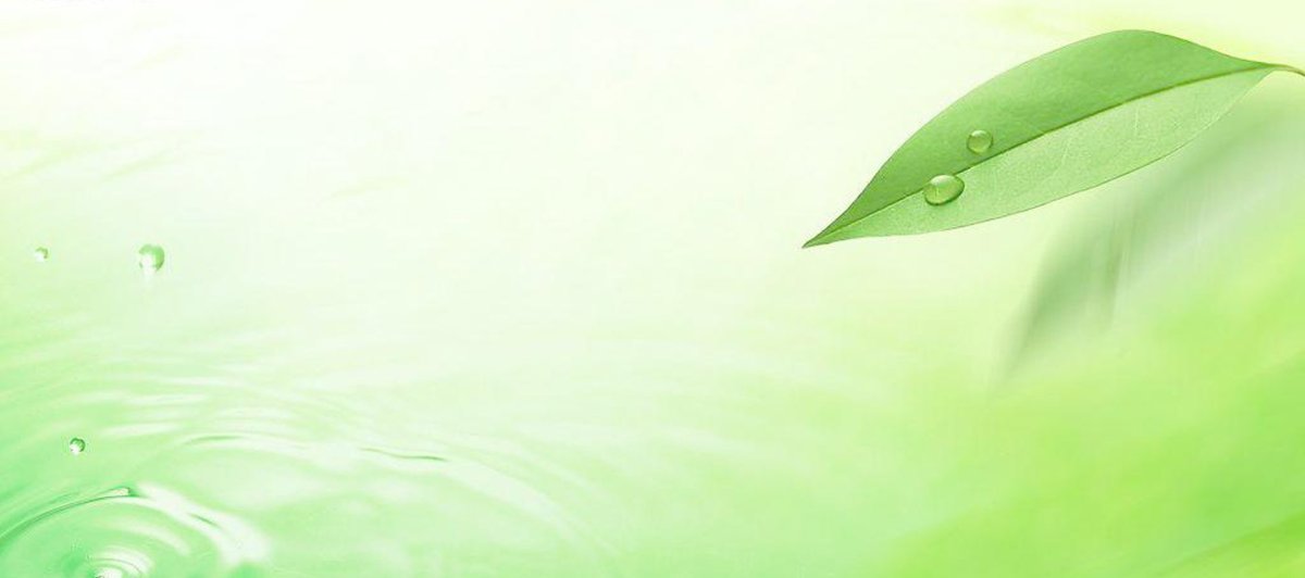 Легкий зеленый фон