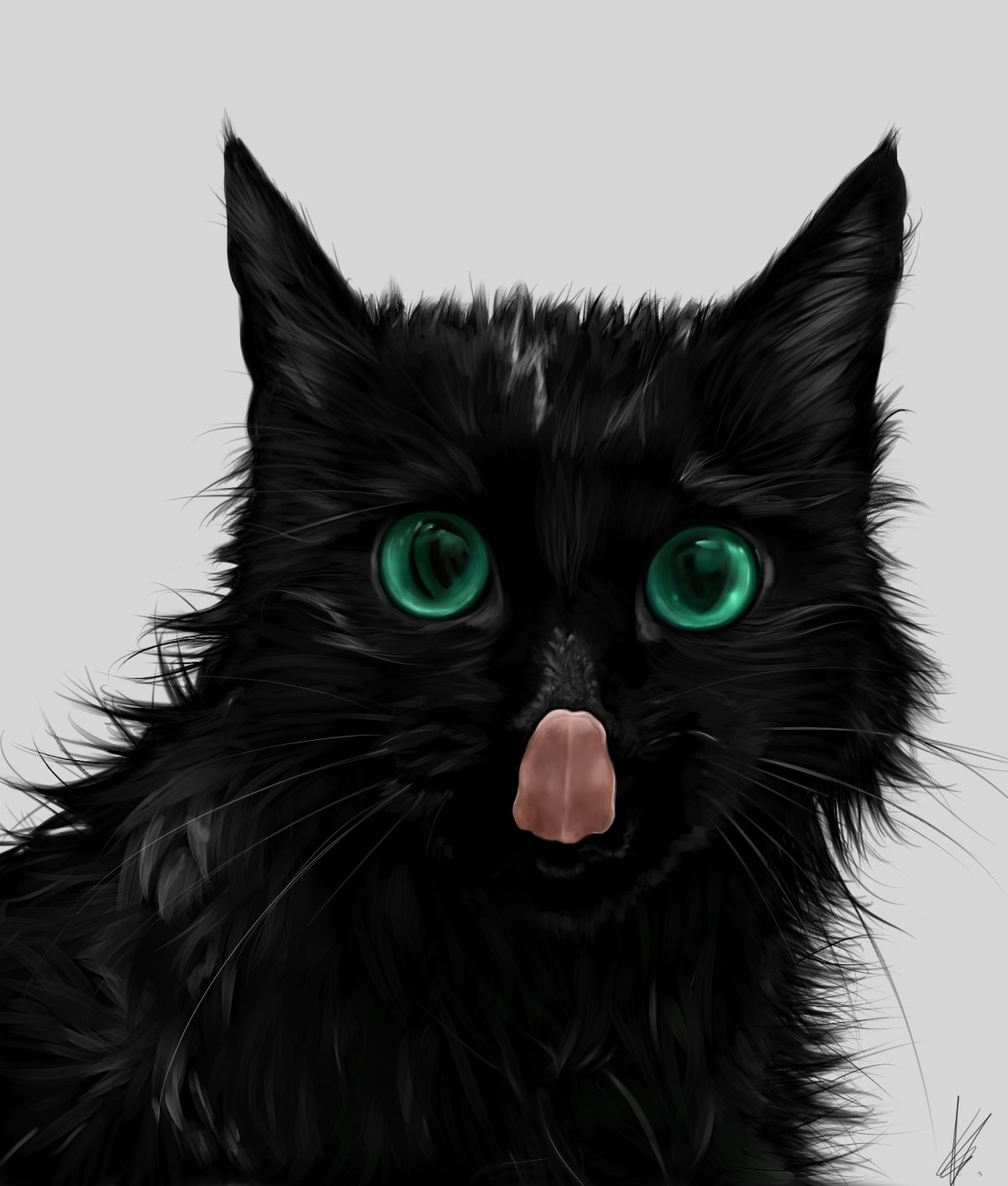 Черный кот на аву