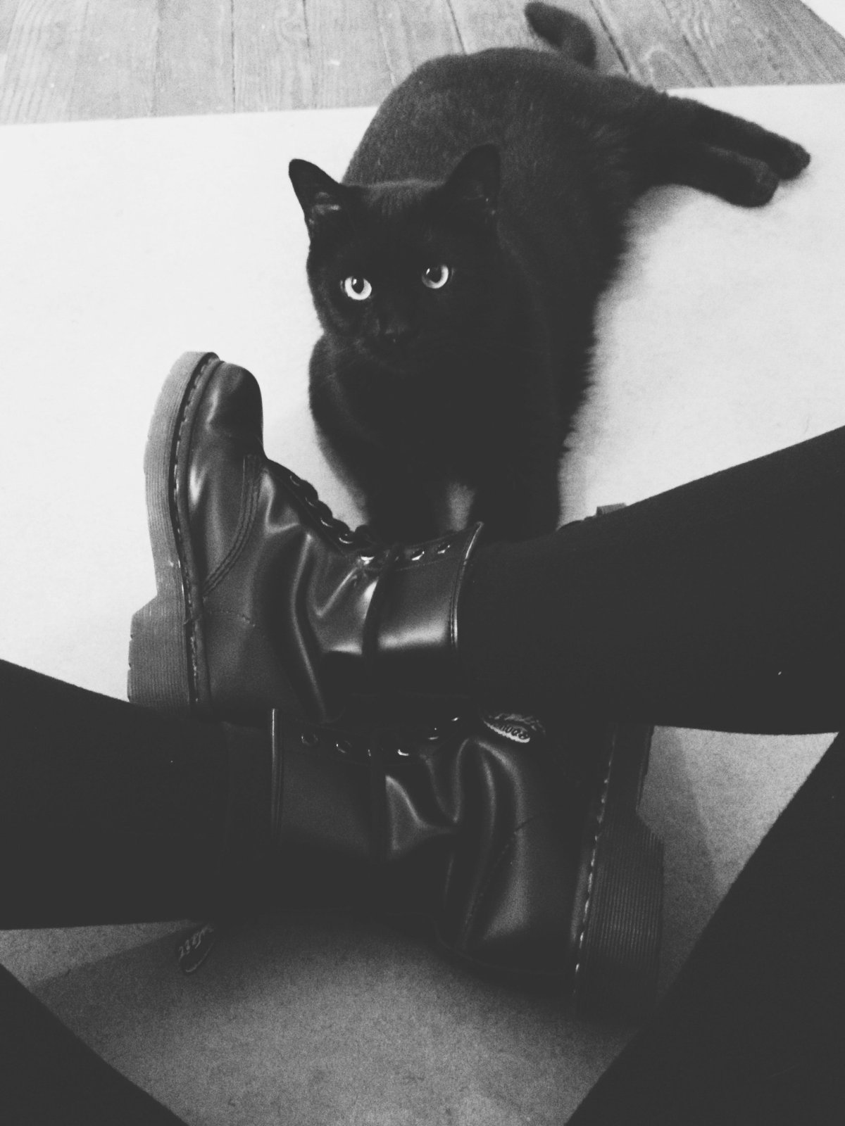 Черный кот сохраненки