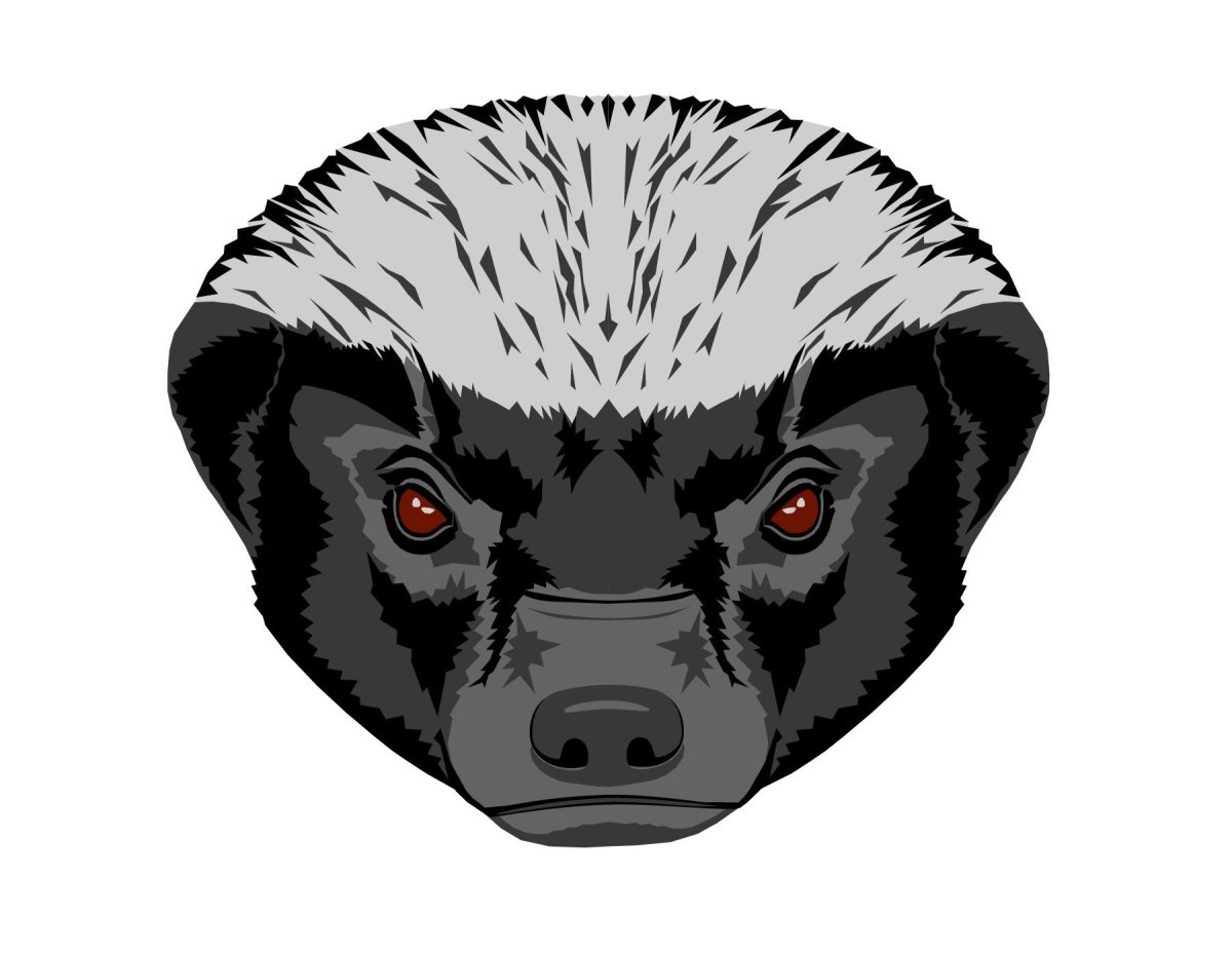 Енот медоед