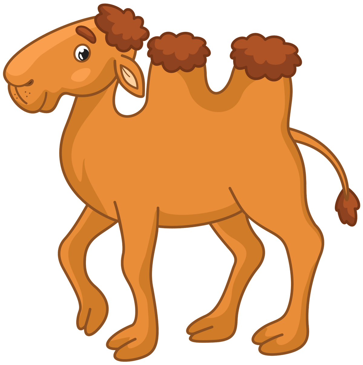 Верблюды в детский сад