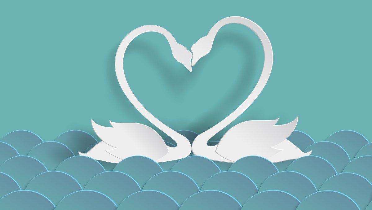 2 Года свадьбы