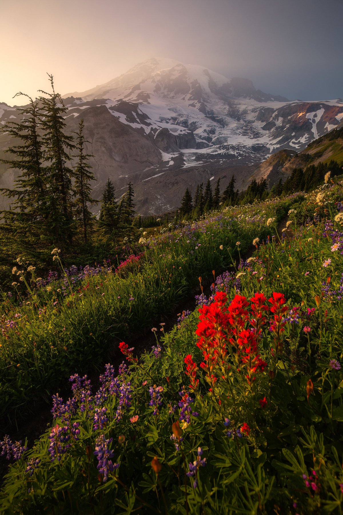 Дикий пейзаж