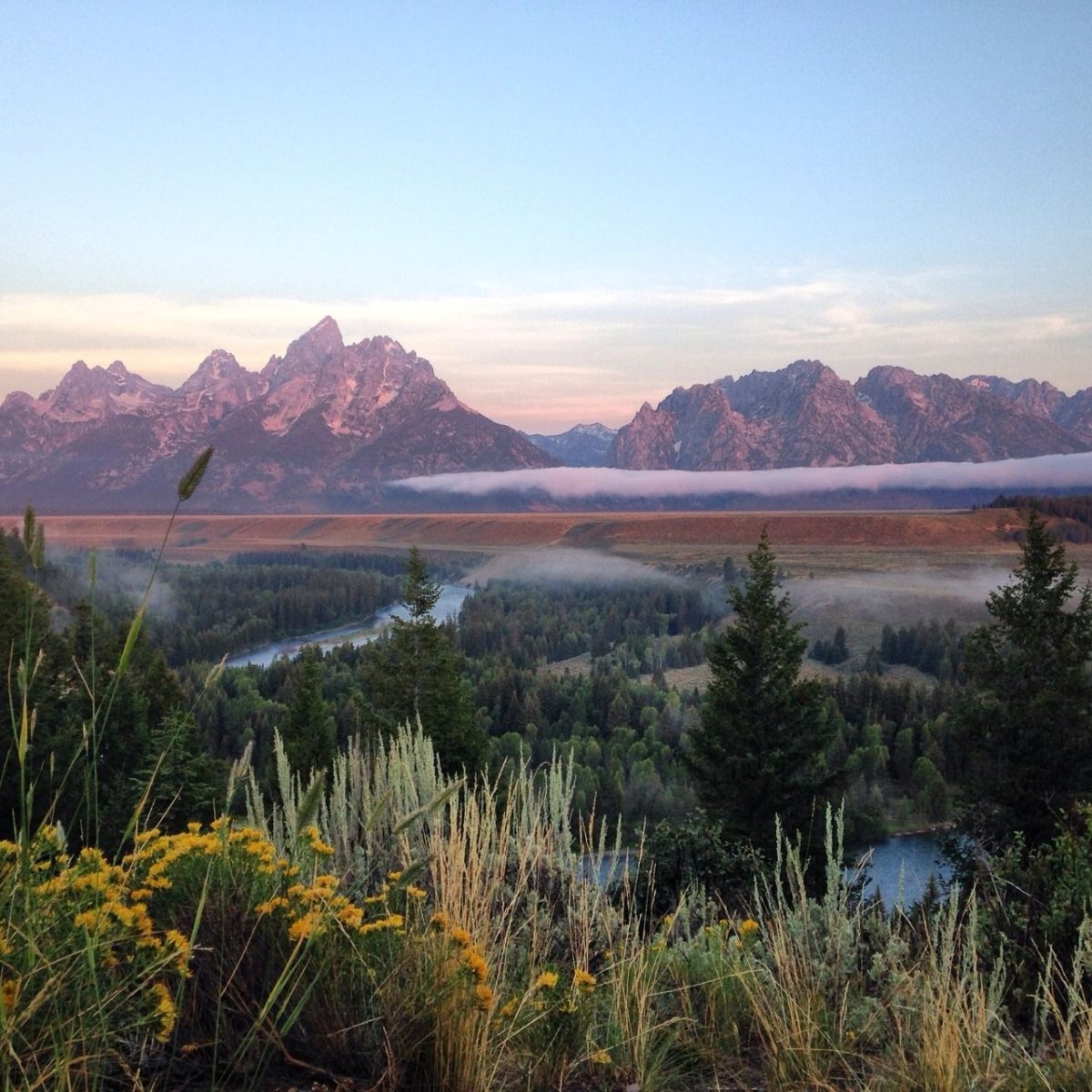 Пейзаж Эстетика