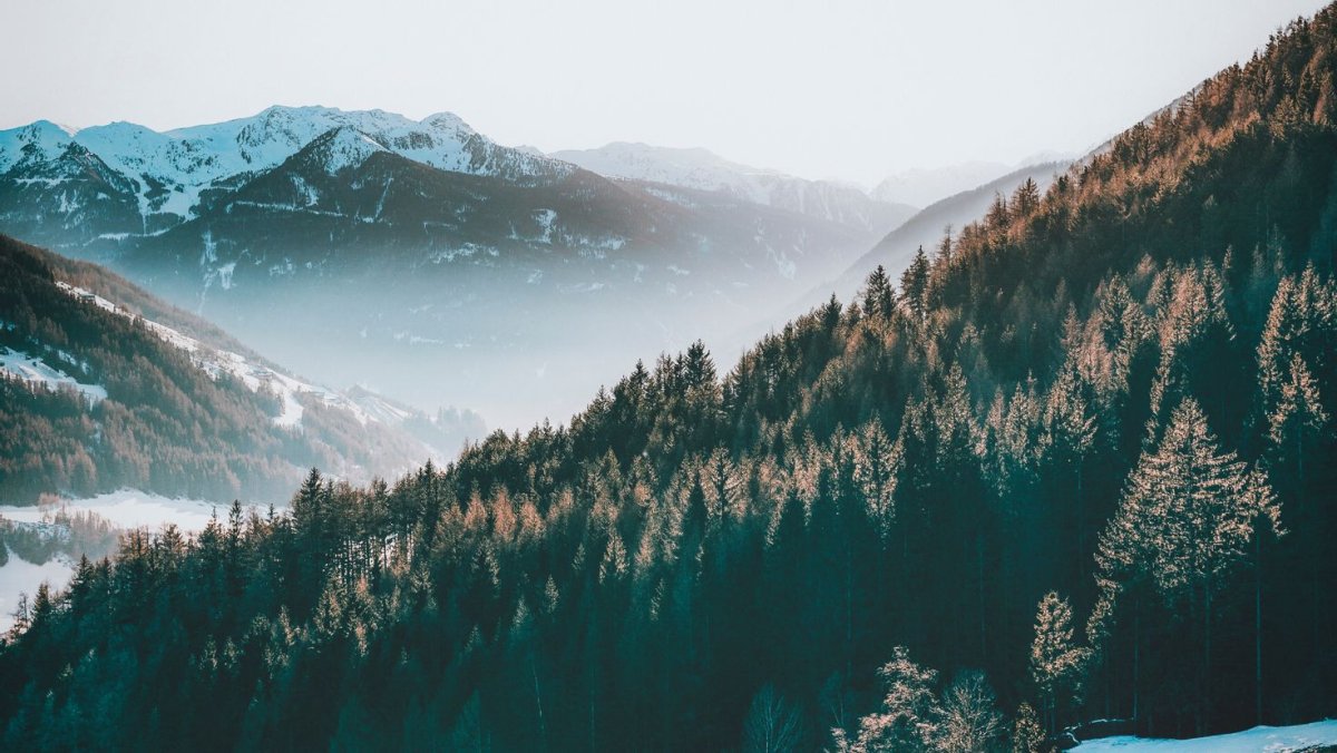 Минимализм природа