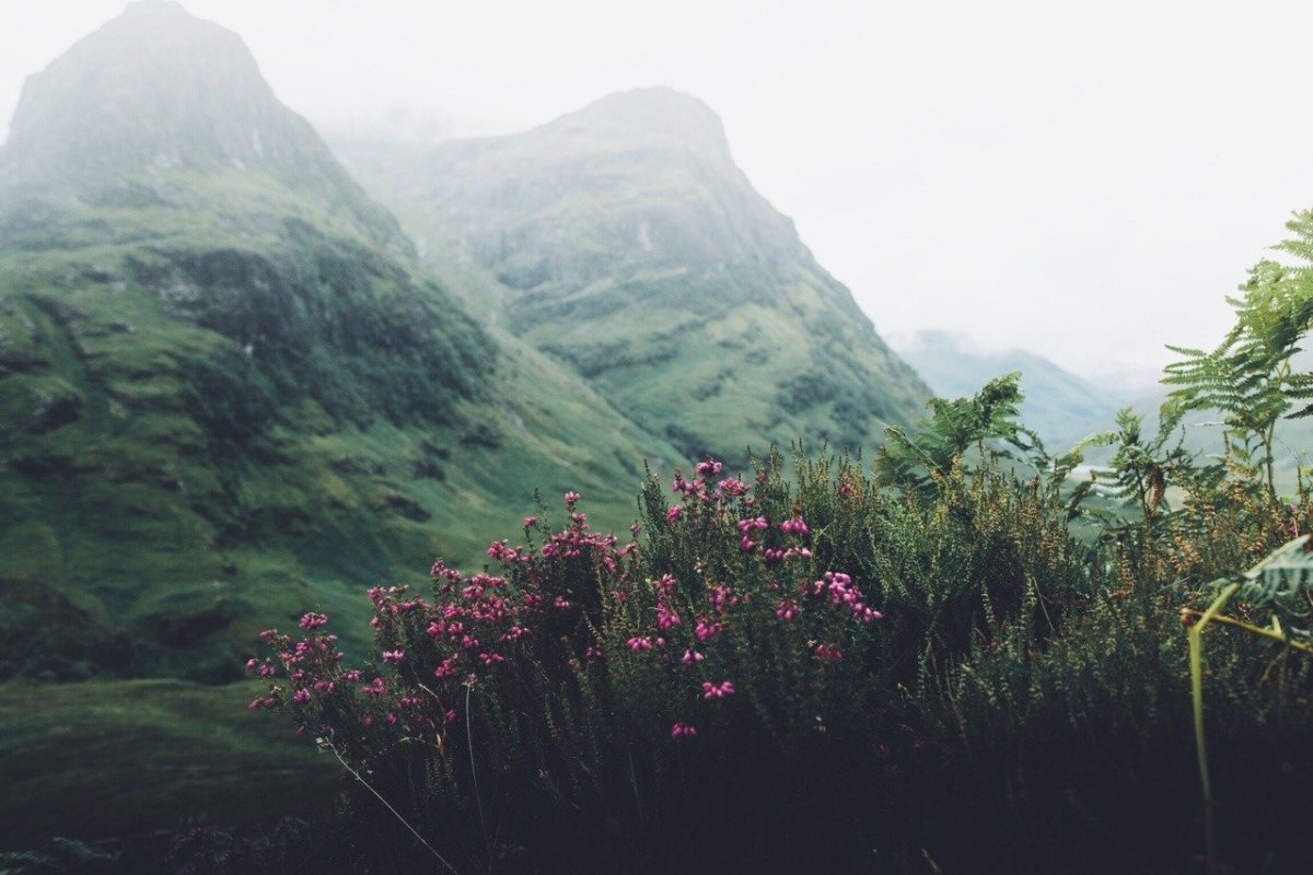 Тумблер природа