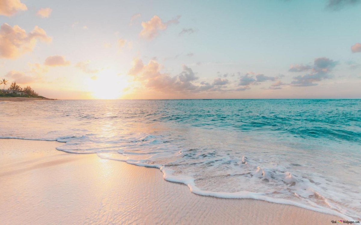 Эстетика моря и пляжа коллаж