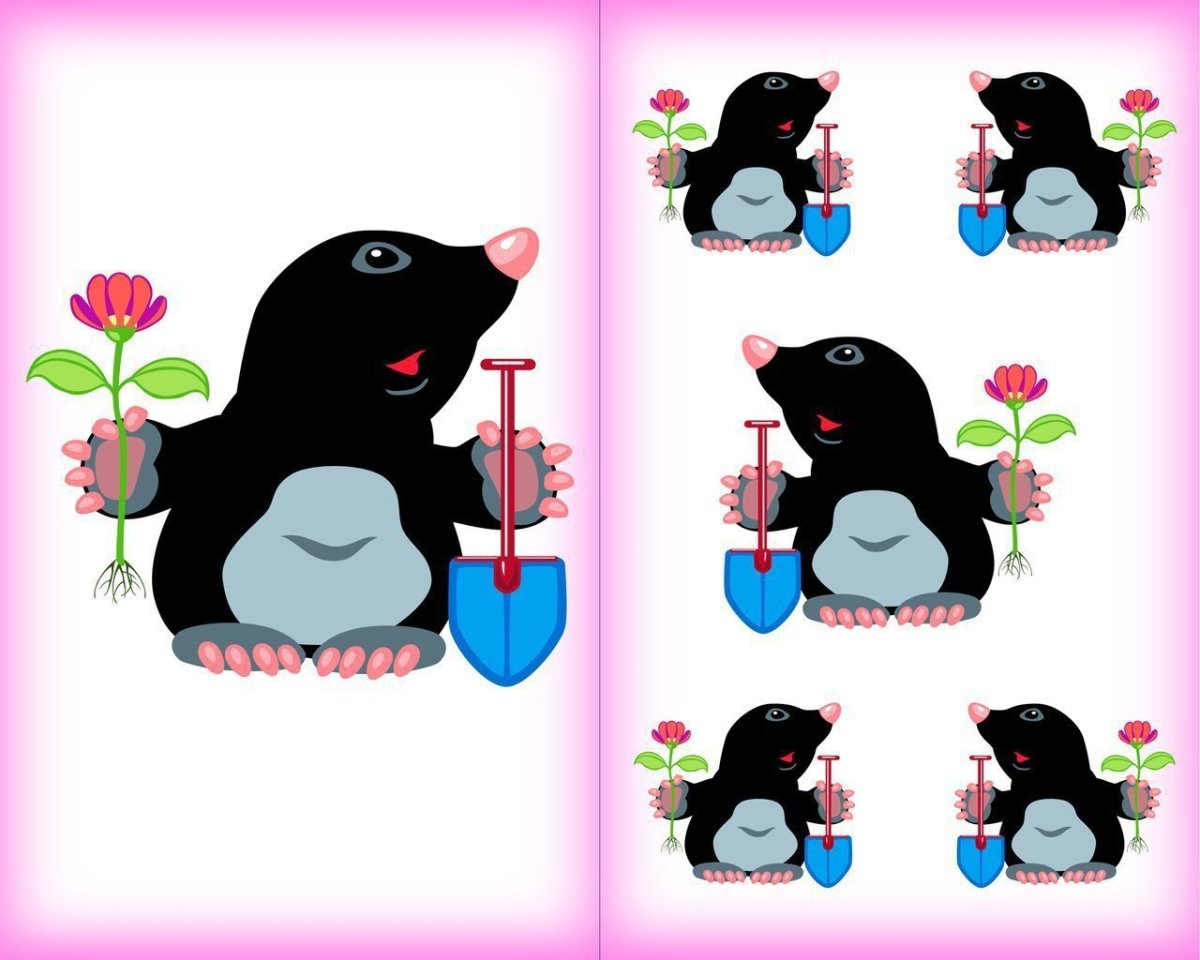 Карточки один много для детей