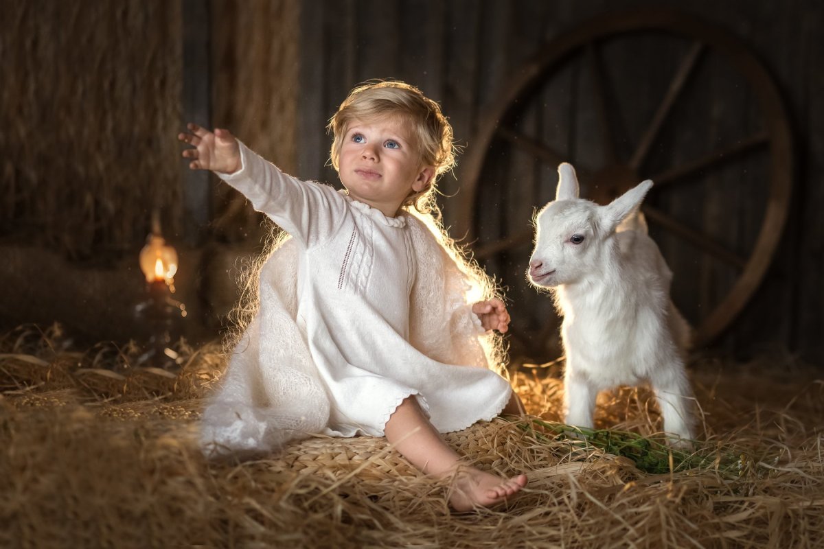 Коза с козленком на белом фоне