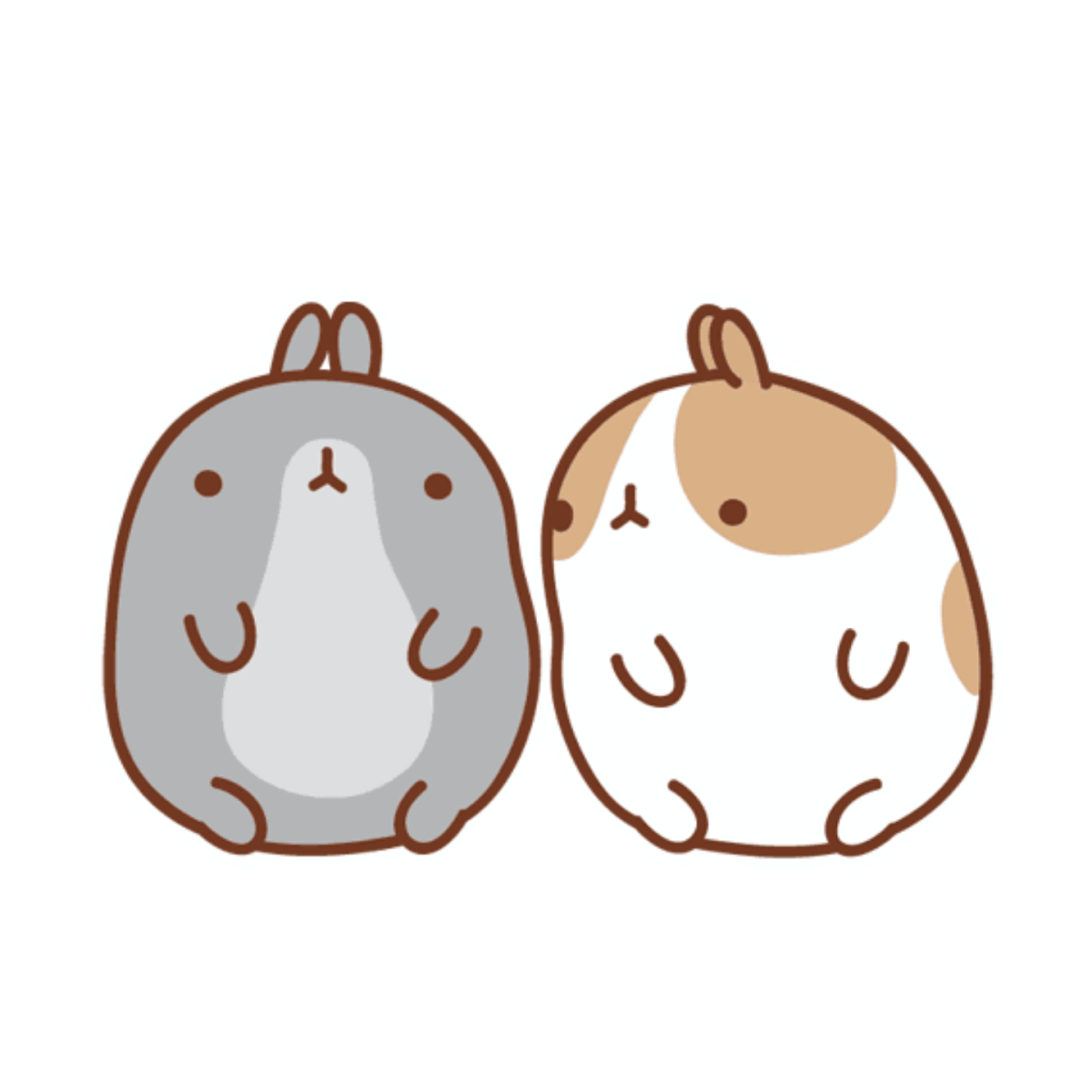 Кролик Моланг