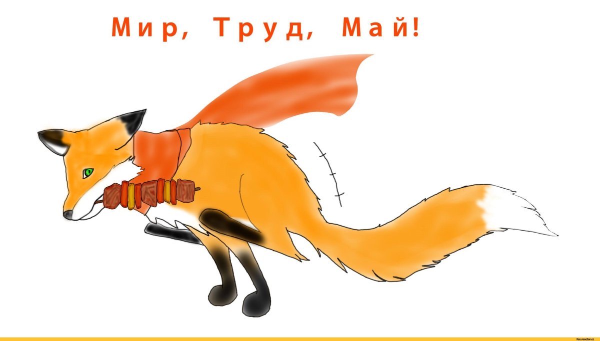 Лисенок скучает