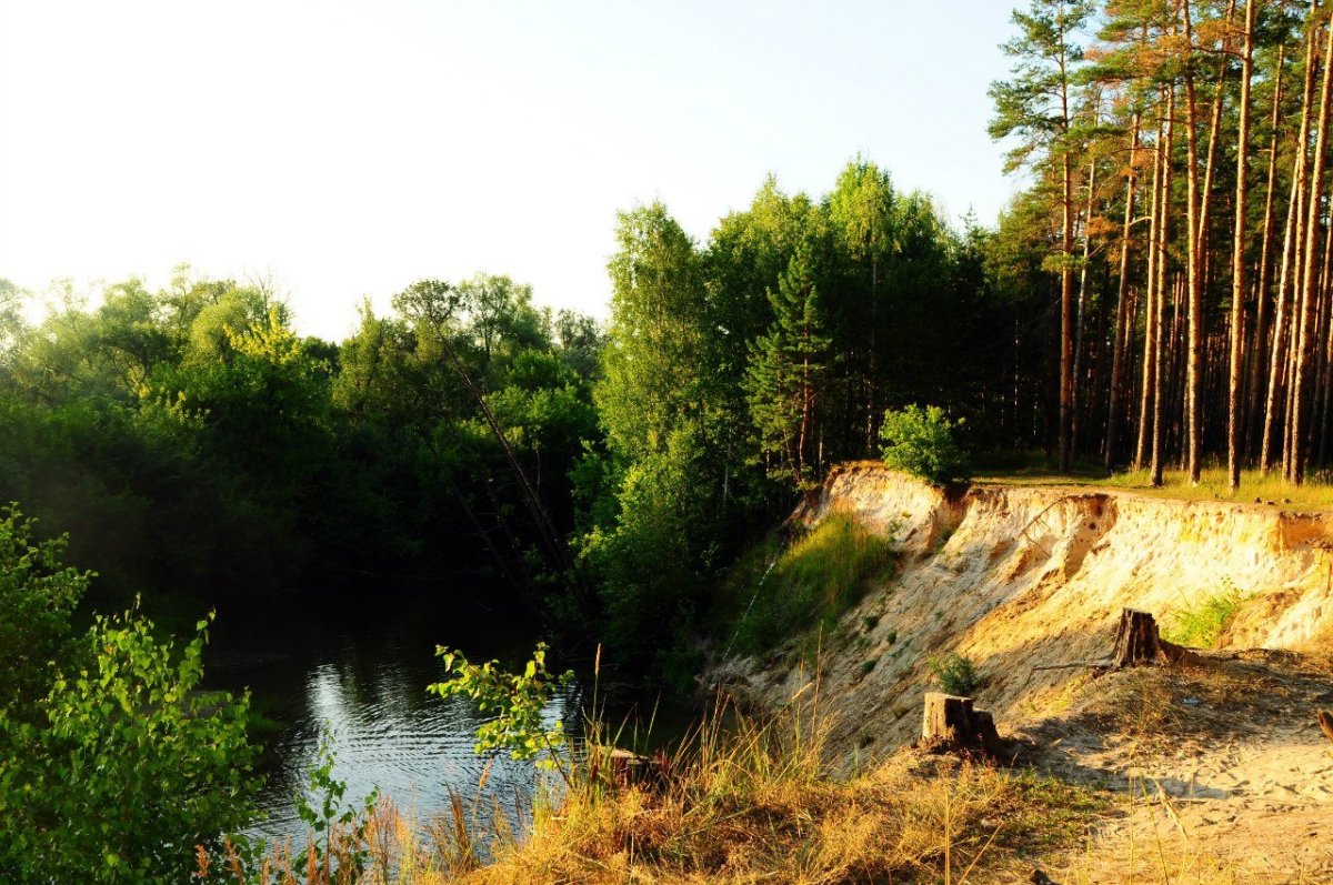 Тропинка в овраге