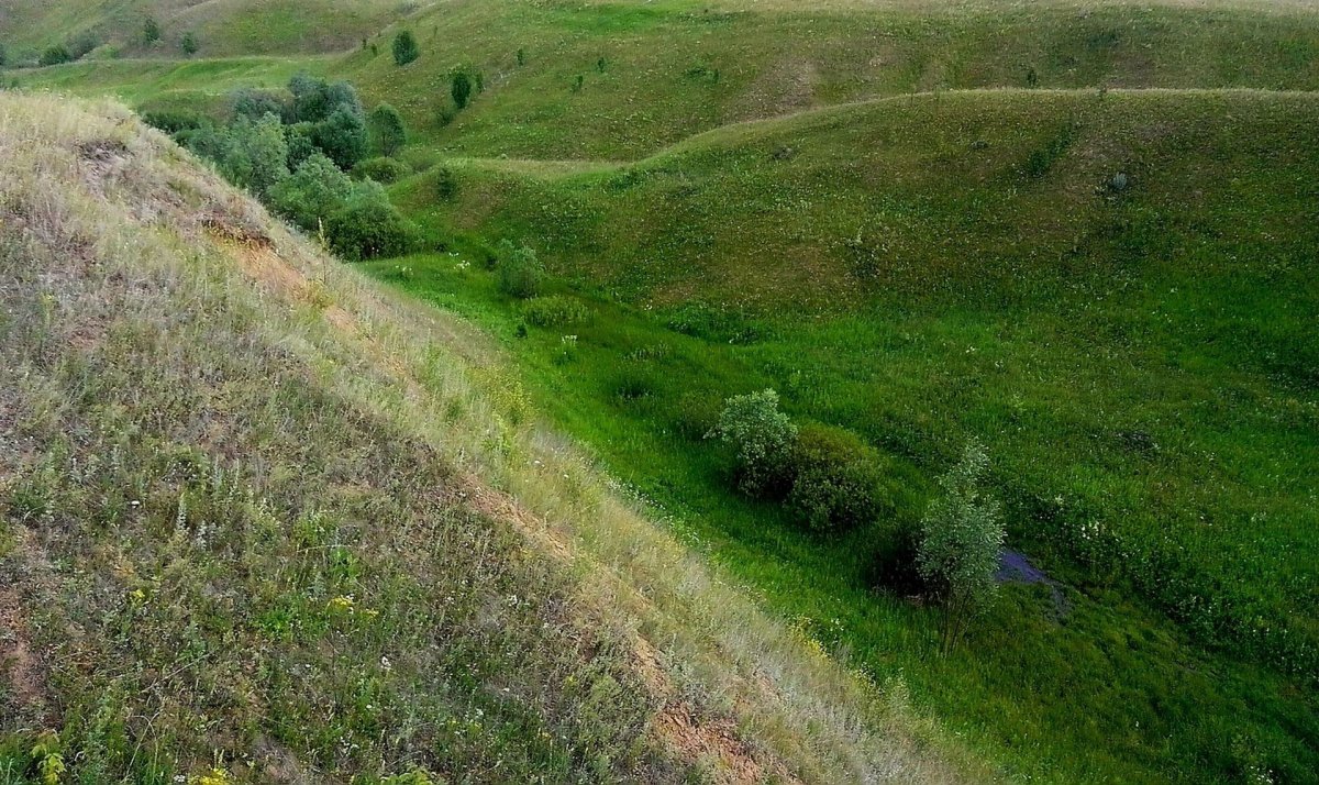 Промоина рельеф