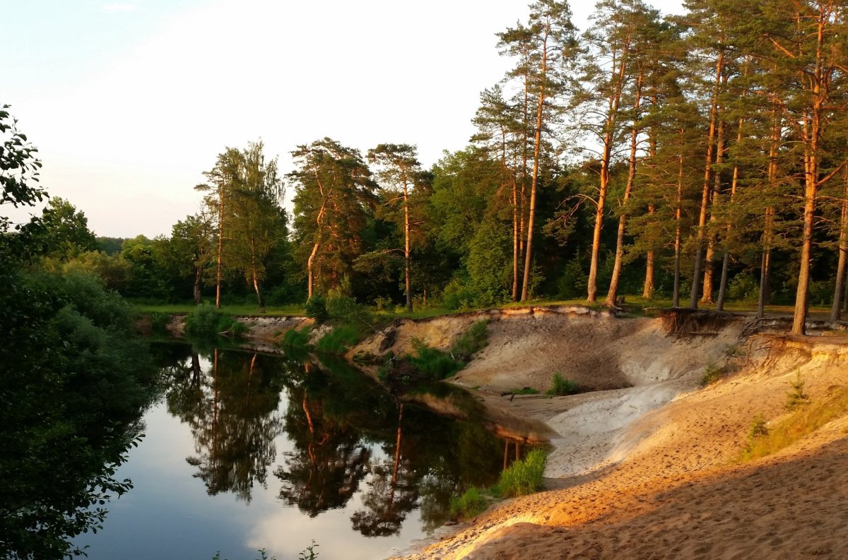 Река Сосновка Тамбовская область