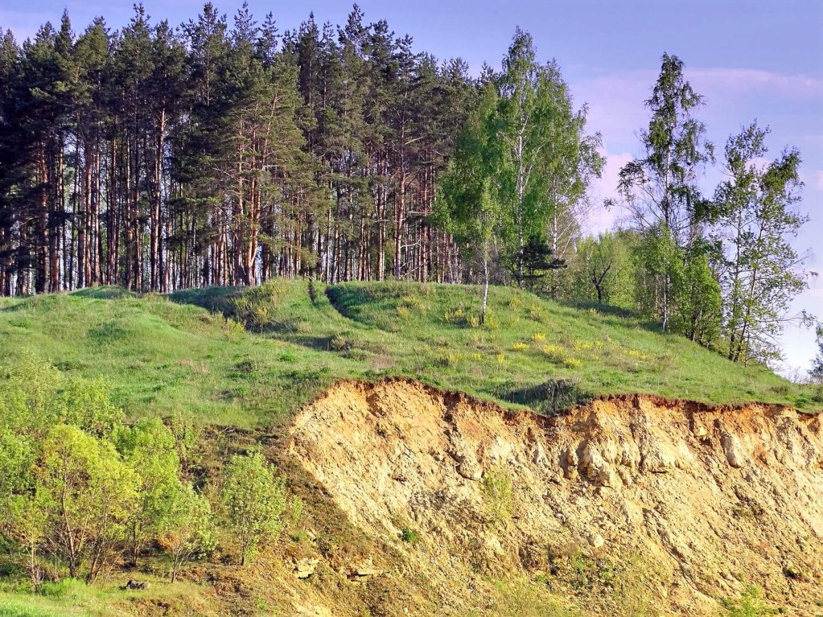 Река Клязьма обрывистый берег