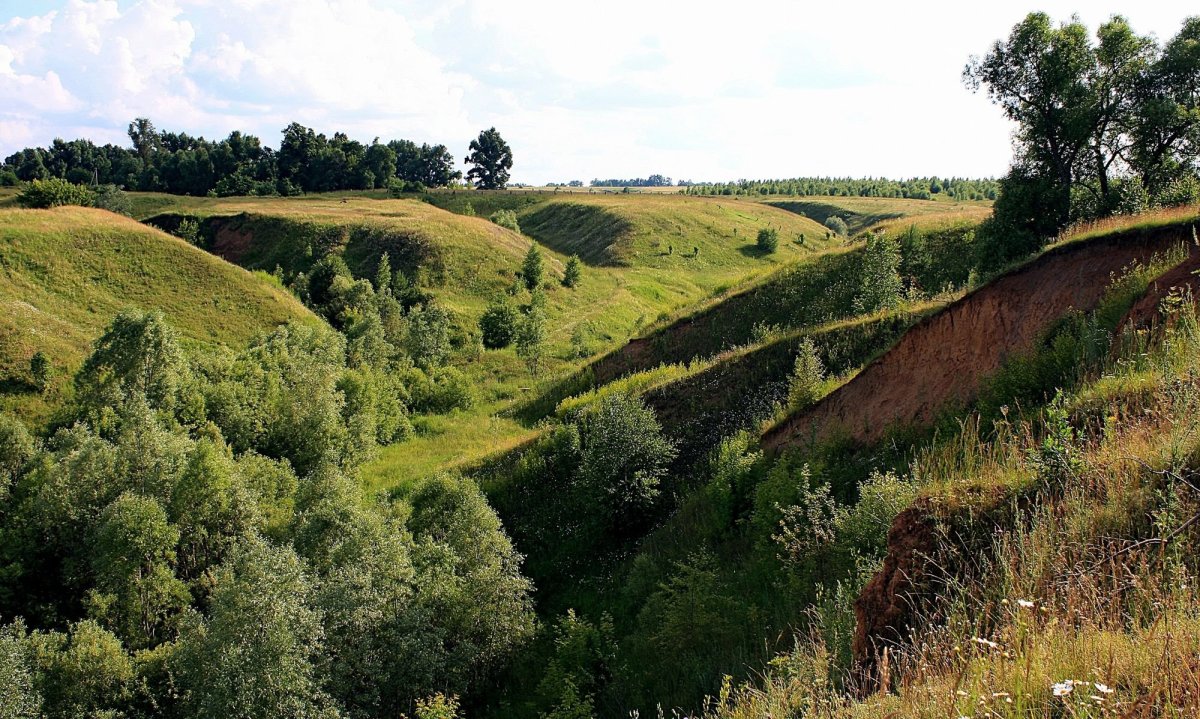 Река Луга ласточкин обрыв