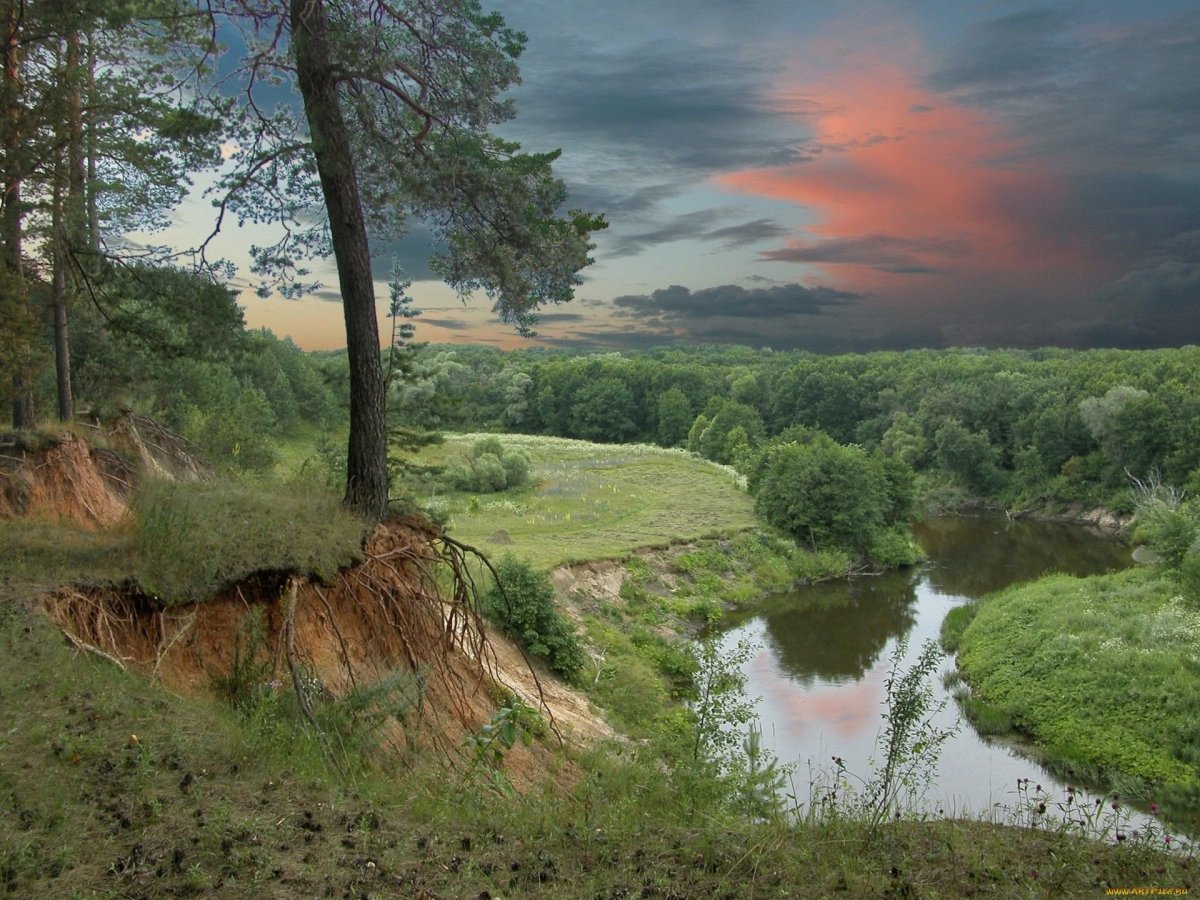 КОЧКАРНЫЙ овраг