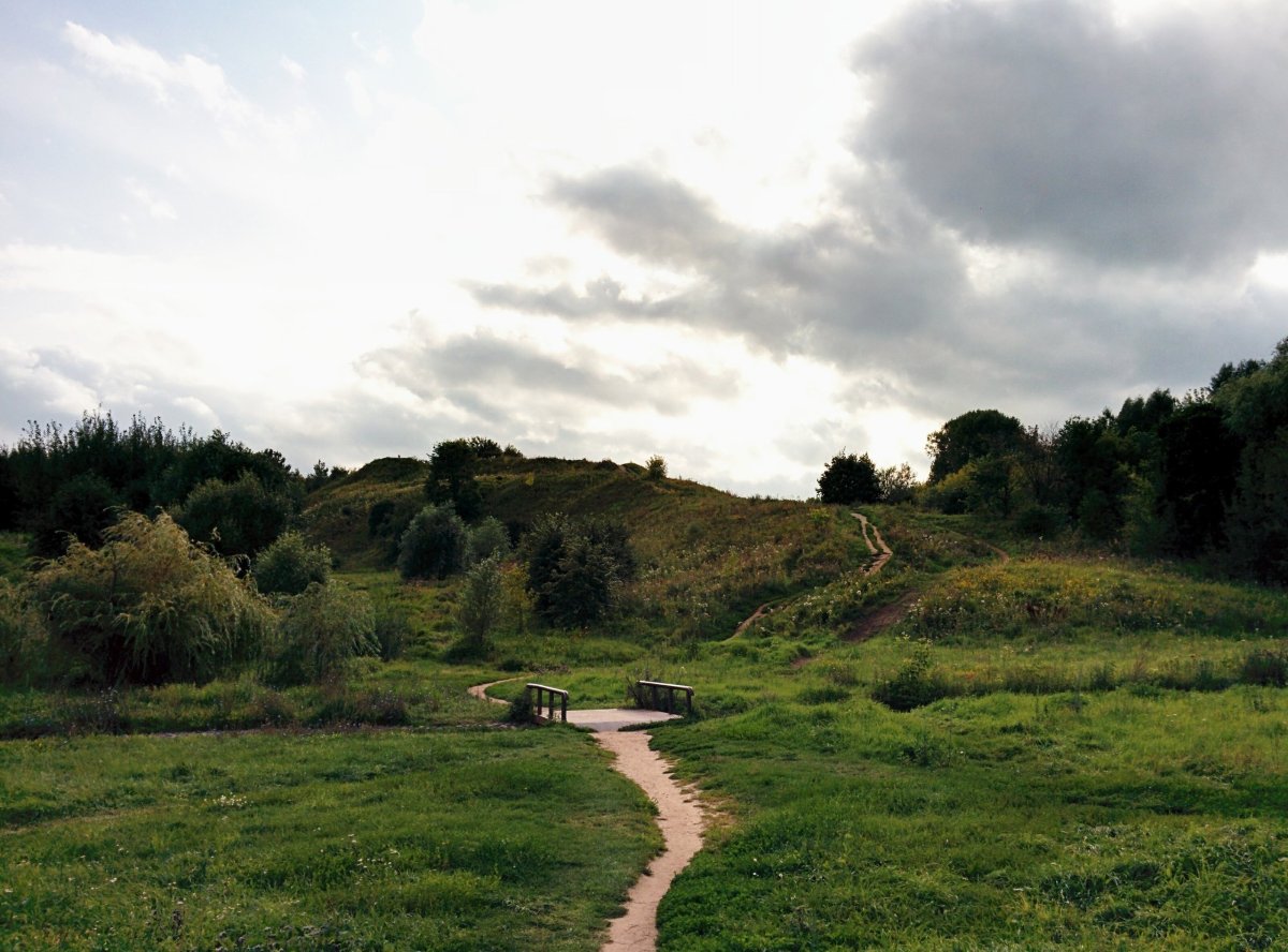 Старая дорога в лесу