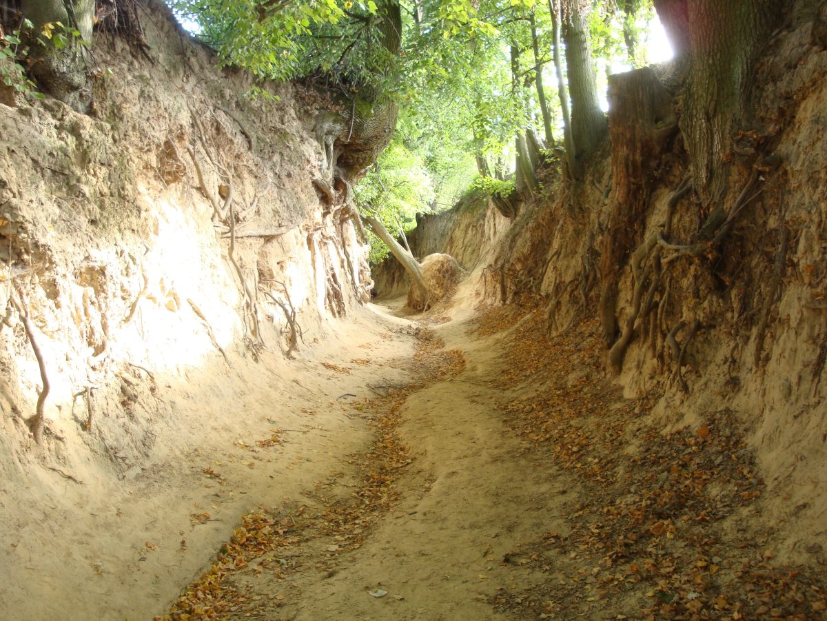 Сивиньские овраги