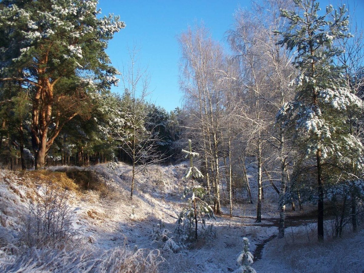 Печорский овраг Нижний Новгород