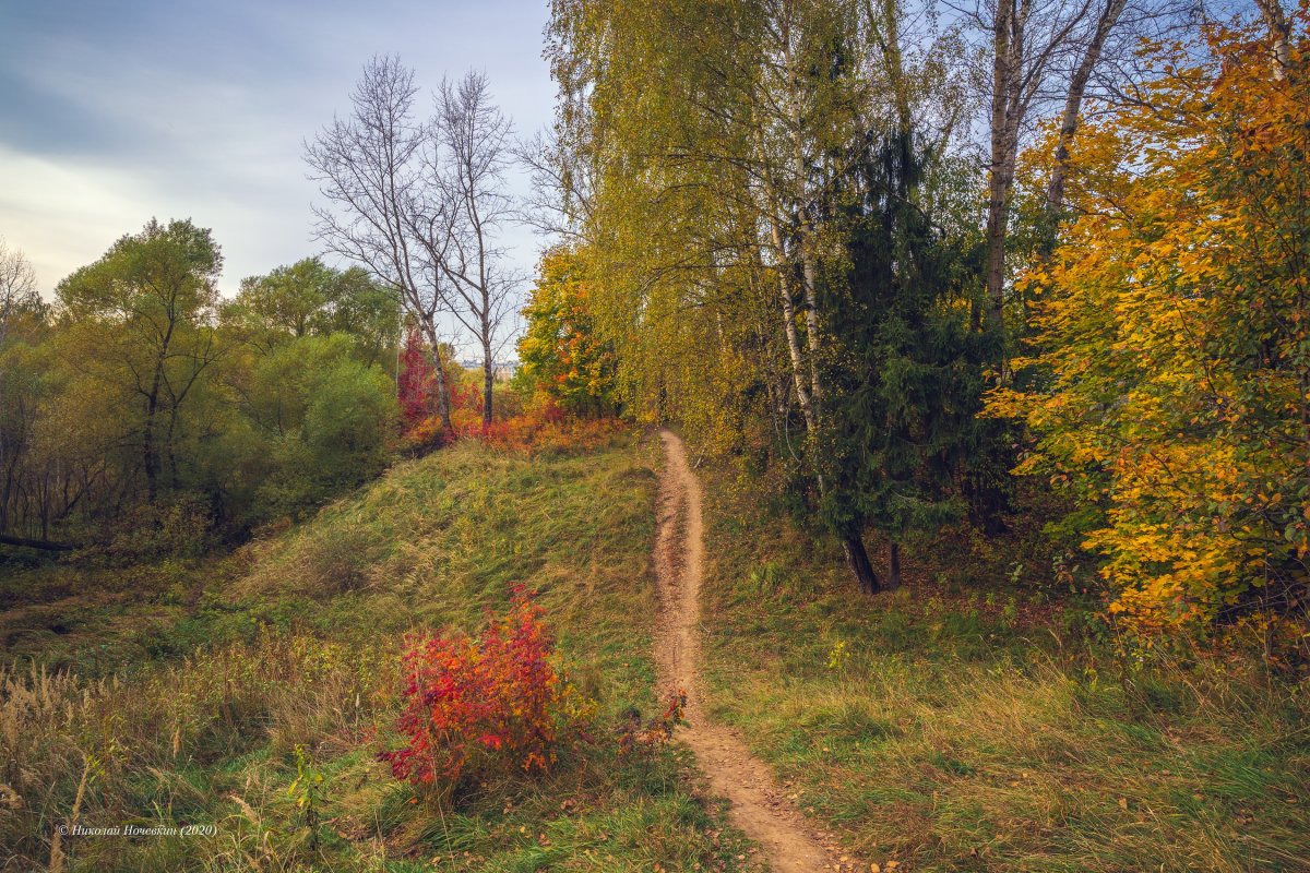 Овраг Переторги