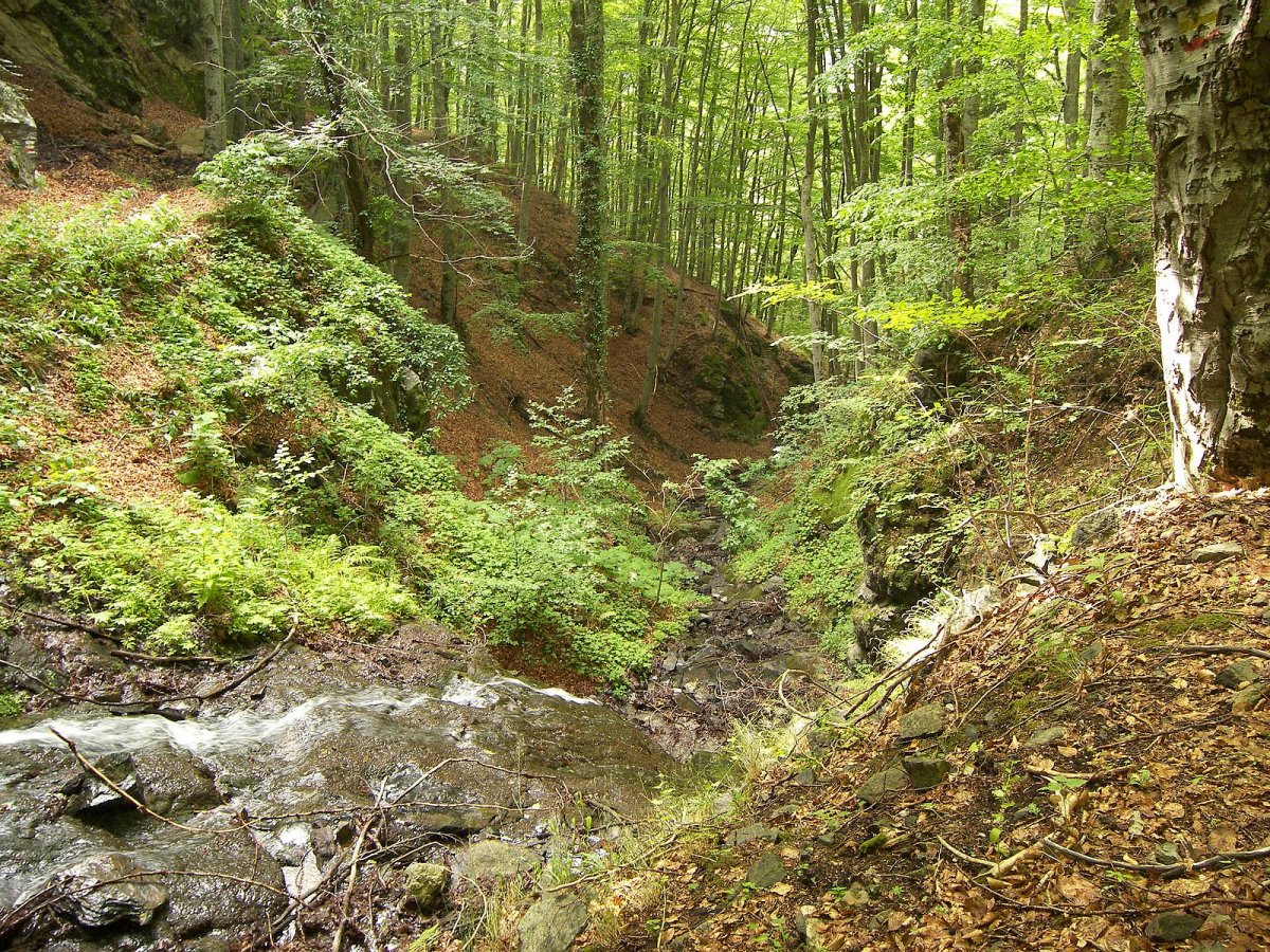 Ляды чертов овраг