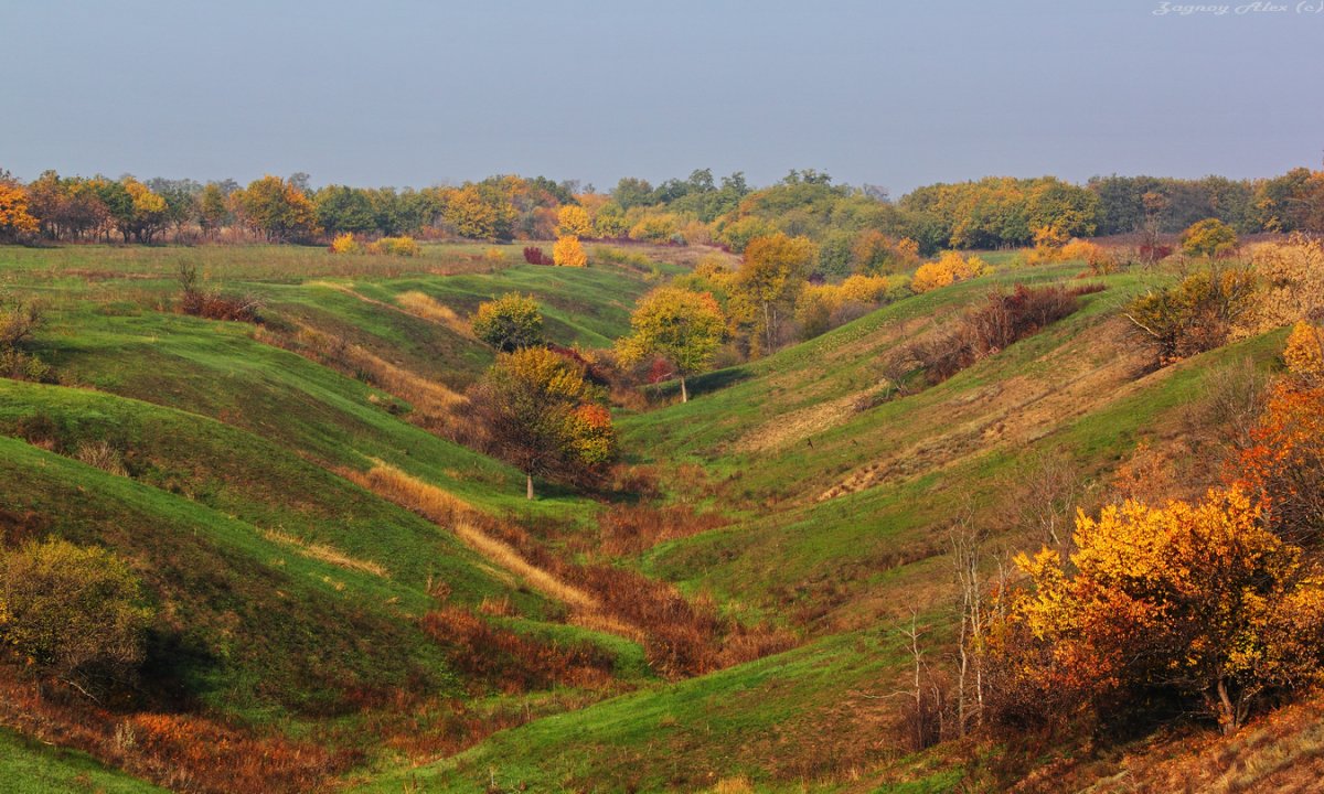 Овраг Сосновый Самарская область
