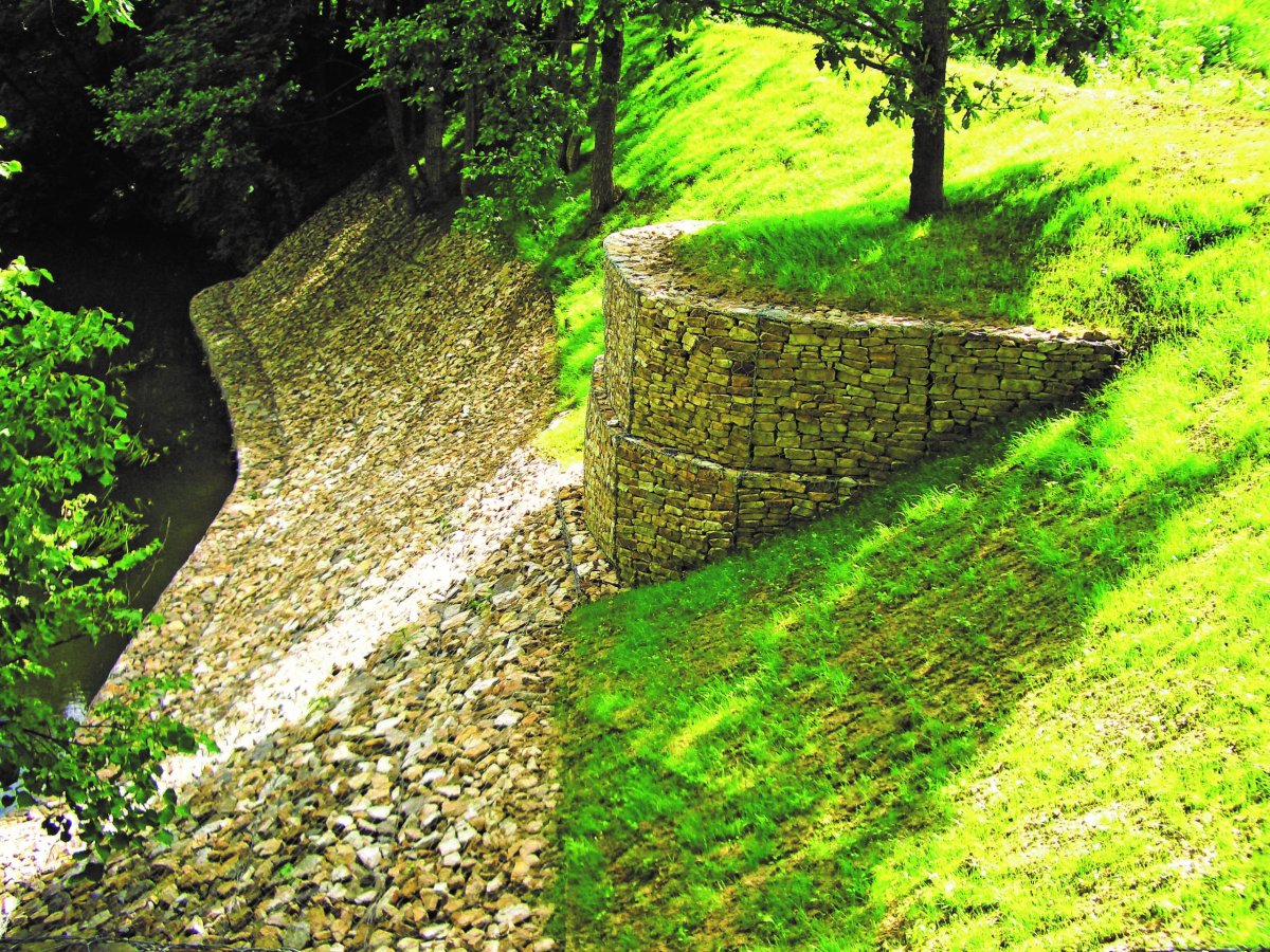 Овраг Сосновый Самарская область