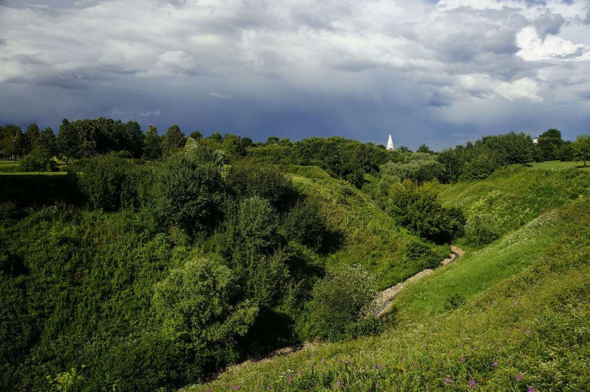 Овражистая эрозия