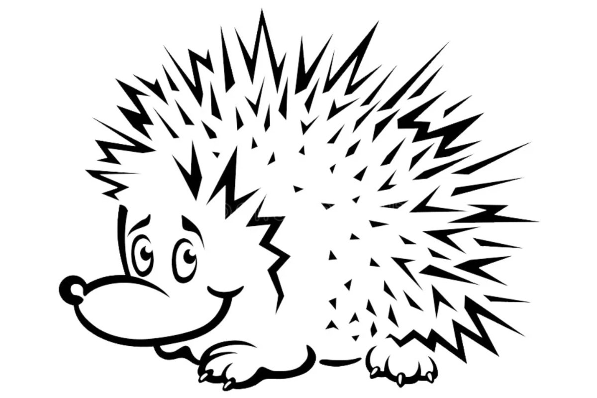 Раскраска Ёжик