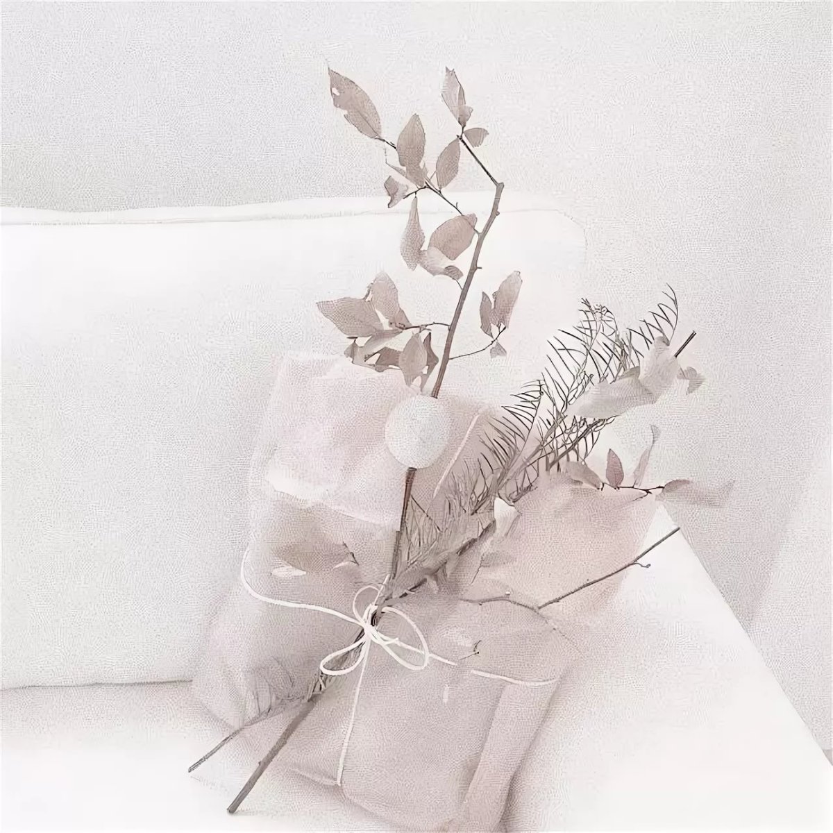 Светлая Эстетика