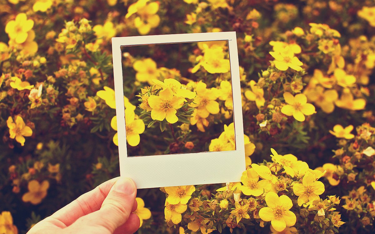 Фотокарточки черно белые Эстетика