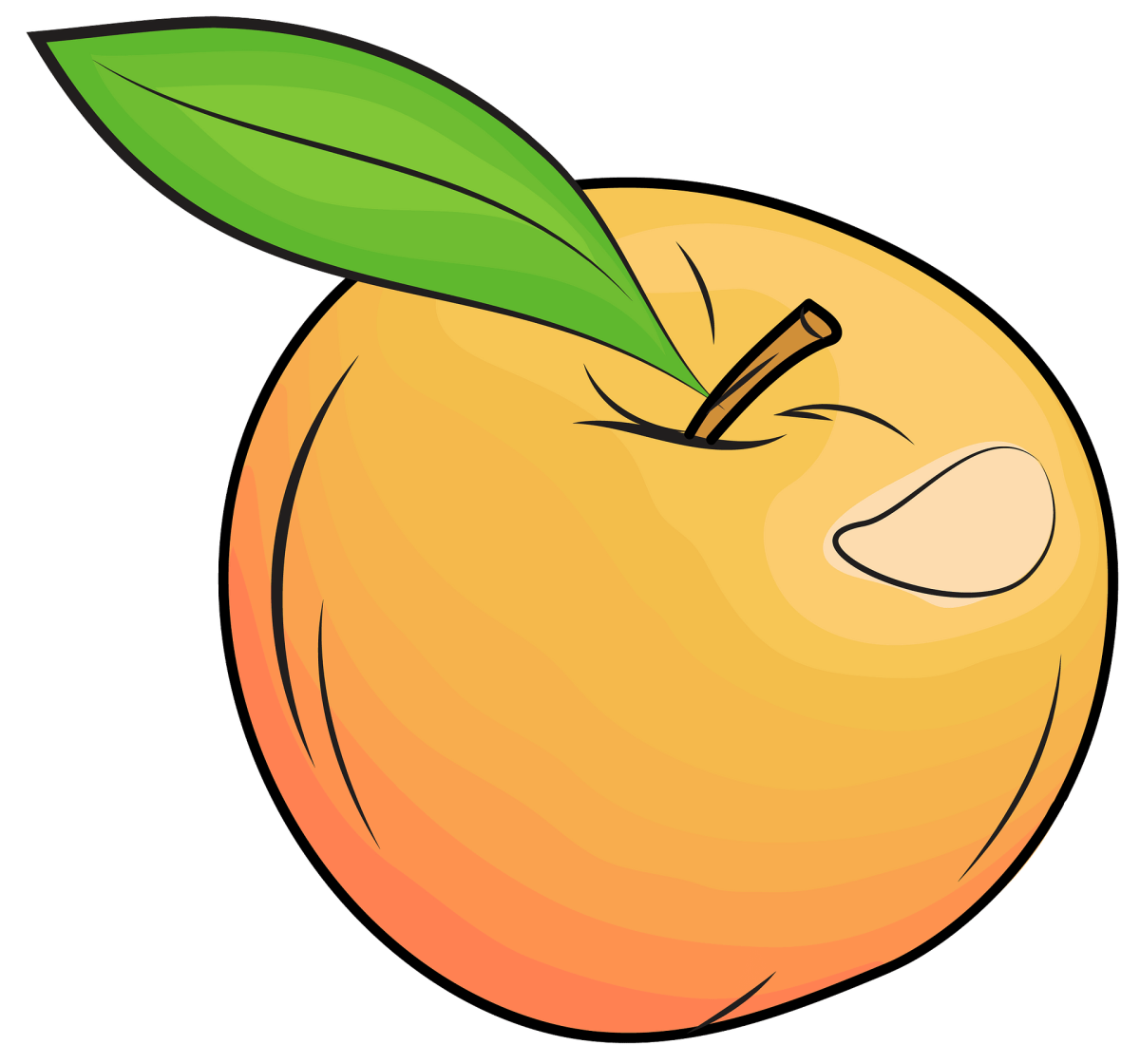 Яблоко клипарт рисунок