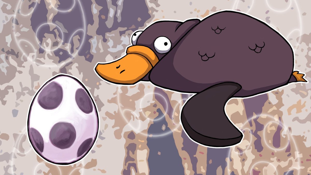 Картинки утконоса в Австралии