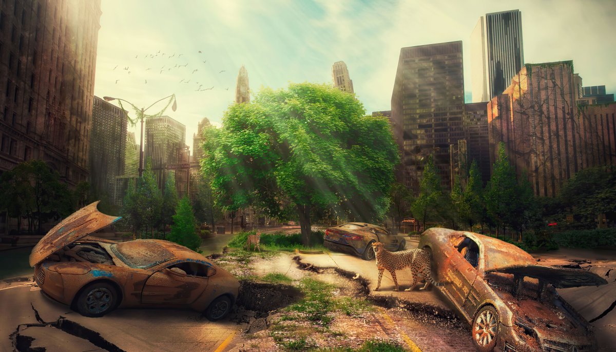 Будущее постапокалипсис