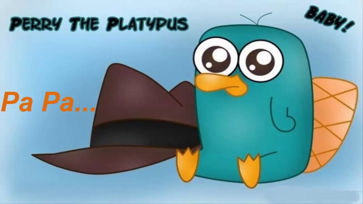 Утконос Перри Утконос