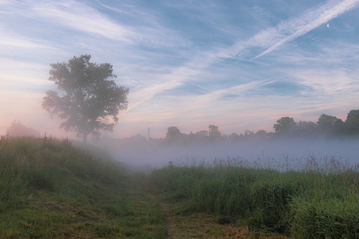 Лето утро Кингисепп