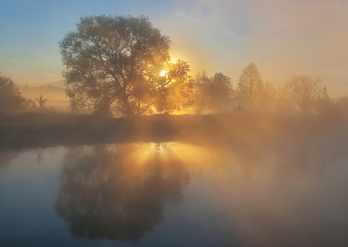 Солнечное туманное утро