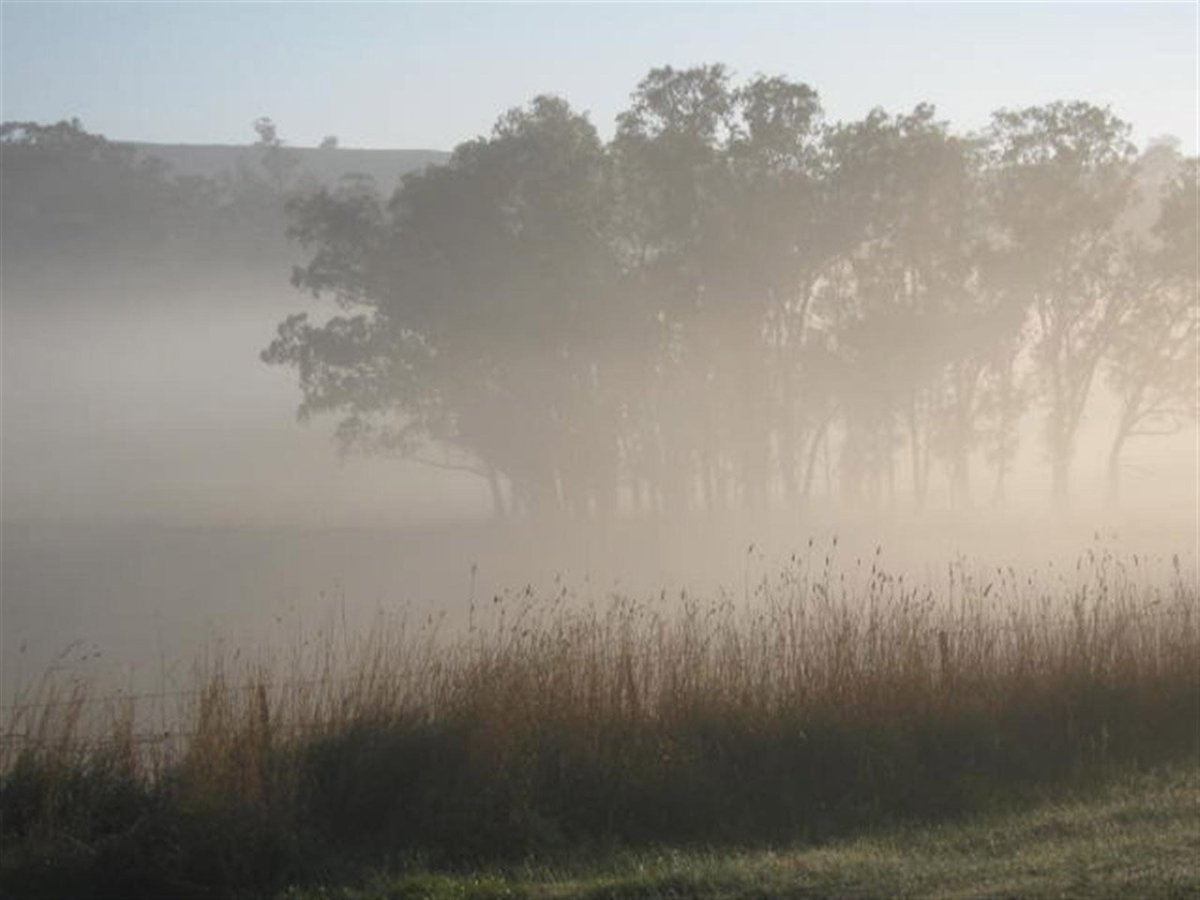 Доброе туманное утро