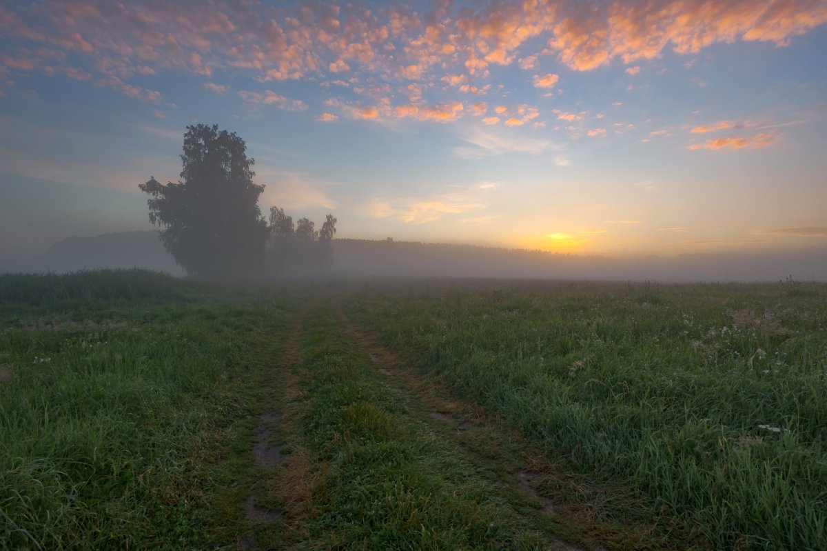 Впереди туман