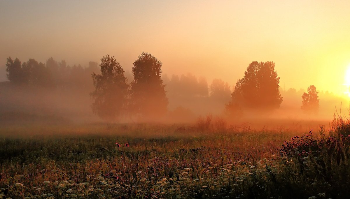 Картинки с добрым утром со стихами