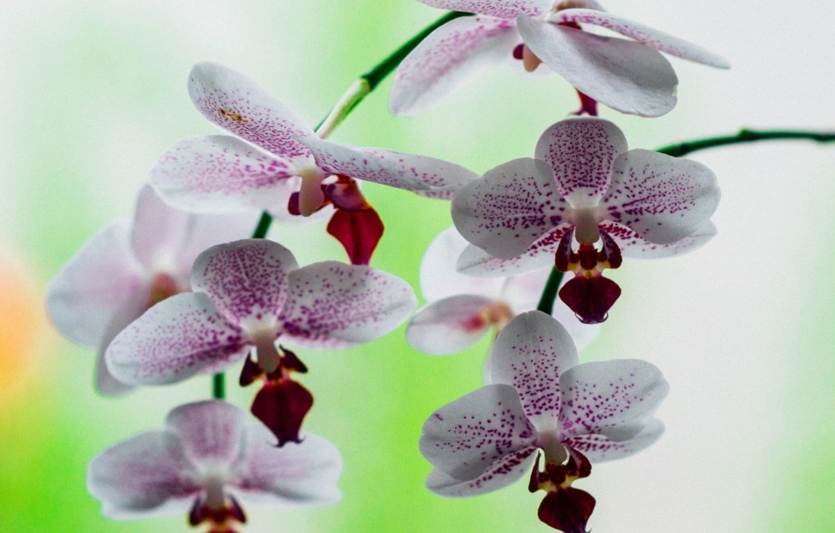 Доброе утро стильные