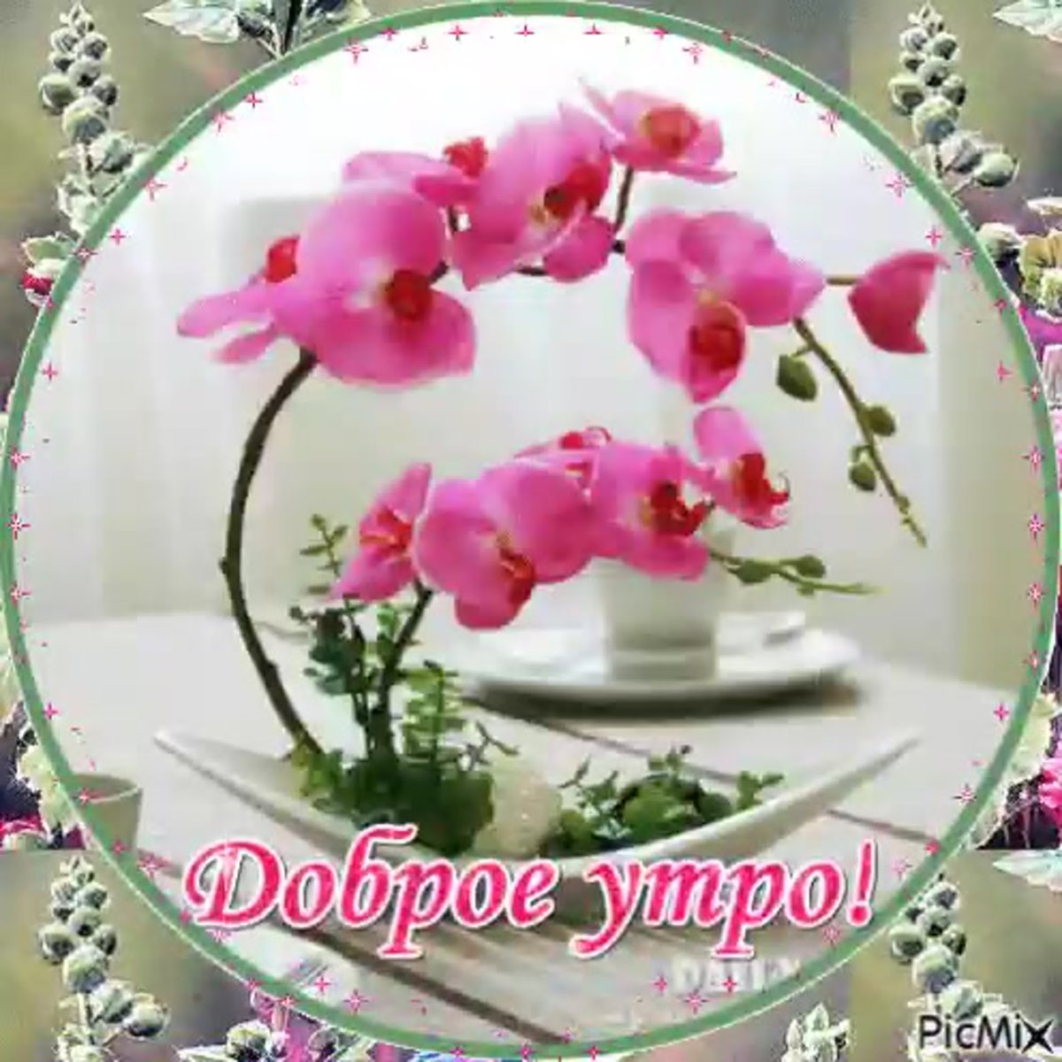 С добрым утром с орхидеями