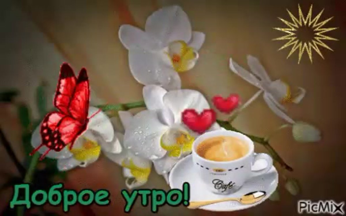 Прекрасного утра