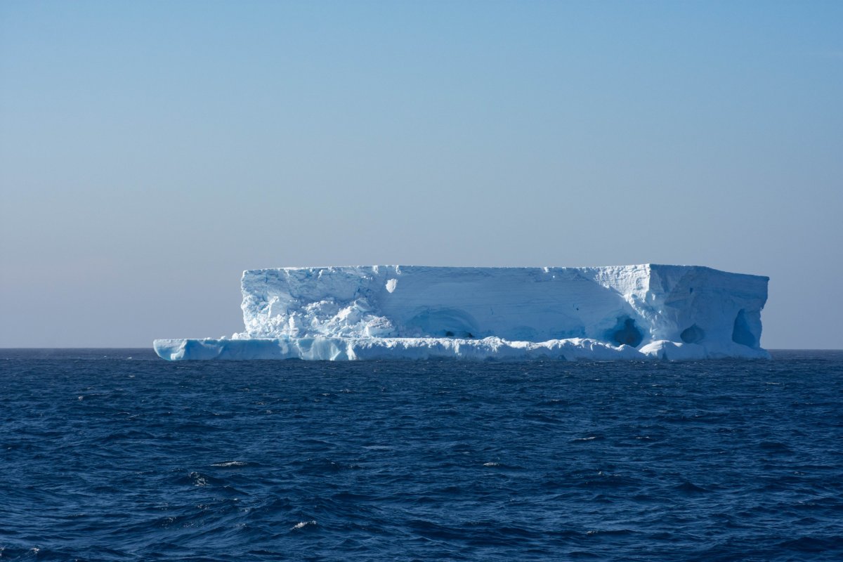 Южный океан айсберги